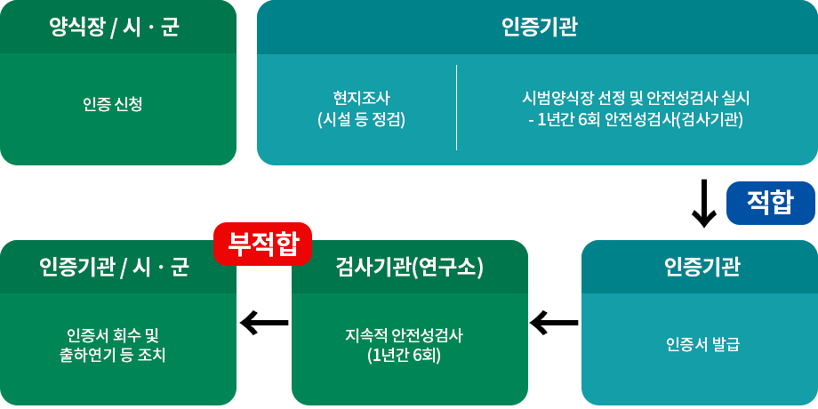 양식장,시·군 - 인증시청 / 인증기관 - 현지조사(시설 등 점검), 시범양식장 선정 및 안전성 검사 실시(1년간 6회 안전성검사(검사기관)) - 인증기관(인증서 발급)[적합] - 검사기관(연구소) / 지속적 안전성검사(1년간 6회)- [부적합] - 인증기관,시·군(인증서 회수 및 출하연기 등 조치) 